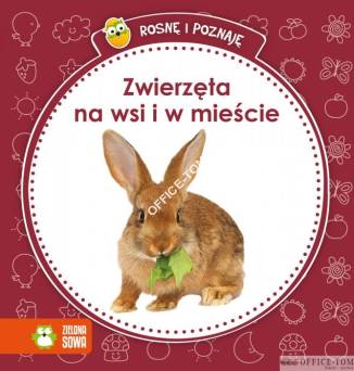 Książka Zwierzęta na wsi i w mieście Zielona Sowa