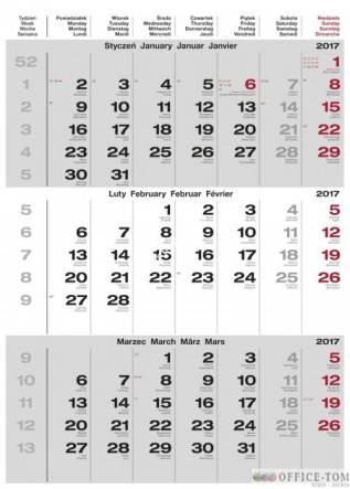 Kalendarz ścienny 2017 Trzymiesięczny  HELMA (5 wzorów) N521-17