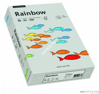 Papier xero kolorowy Rainbow szary 96