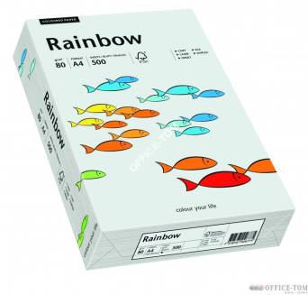 Papier xero kolorowy Rainbow jasno szary 93