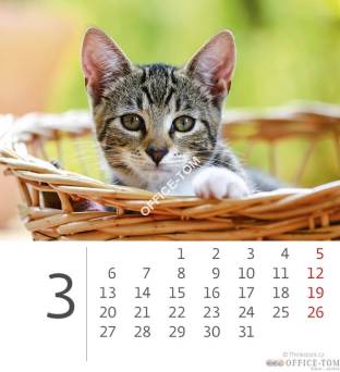 Kalendarz ścienny 2017 Mini Kittens S88-17 HELMA