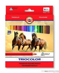 Kredki Kin Tricolor 3145 36 kolorów 9 mm