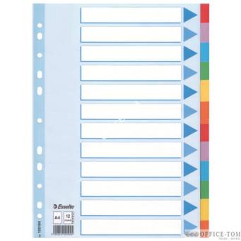 Przekładki, kolorowy karton z kartą opisową A4, ESSELTE, 12 kart