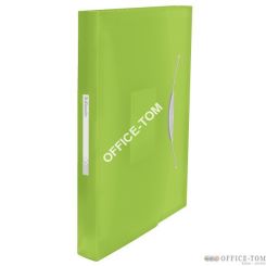 Teczka z przegródkami ESSELTE Vivida, zielony