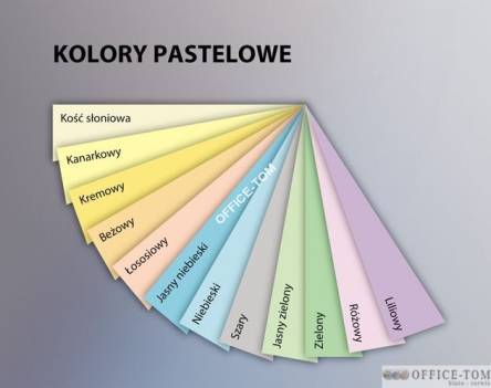 Papier xero kolorowy A4 ŁOSOSIOWY 80G karton- 5ryz SA24