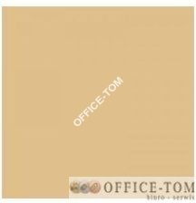 Karton kolorowy 170 g/m2 A1 chamois HAPPY COLOR