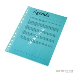 Koszulki krystaliczne, kolorowe A4 ESSELTE, niebieski / 55 mic.