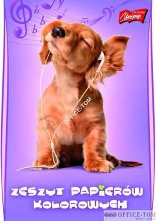 Zeszyt papierów kolorowych A5, 10 k. Unipap