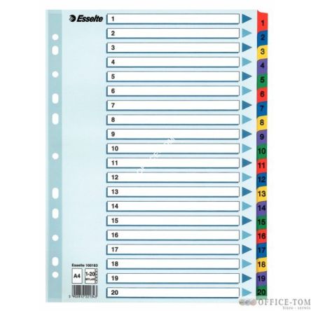 Przekładki kartonowe Mylar A4 ESSELTE, biały 1-20