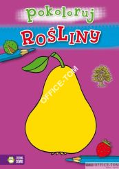 Książka POKOLORUJ ROŚLINY 9788378957904 Zielona Sowa