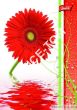 Zeszyt na spirali okładka laminowana A5, 80k., krata, FLOWERS UNIPAP - 2