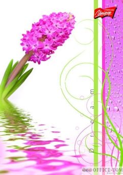 Zeszyt na spirali okładka laminowana A5, 80k., krata, FLOWERS UNIPAP