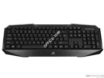 Zestaw klawiatura+mysz TRACER Nexus RF TRK-301 bezprzewodowy USB