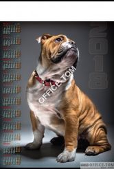 Kalendarz B-1 plakatowy (10)TELEG. P18 PIES