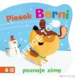 Książka PIESEK BERNI POZNAJE ZIMĘ 9788378957010 Zielona Sowa - 2