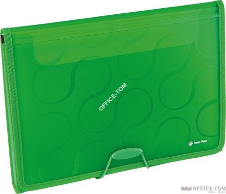 Teczka A4 6-przegródek OMEGA zielo EX4315 0410-0041-04 Panta Plas