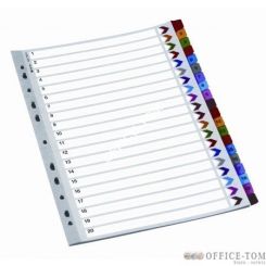 Przekładki indeksowe REXEL A4 1-20 kolorowe kartonowe Mylar