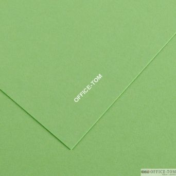 Karton IRIS 70x100 240G 25ark. 27-pistacjowy 200040466 CANSON