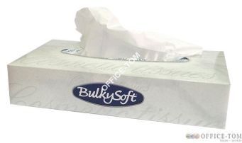 BulkySoft Chusteczki higieniczne 100 sztuk