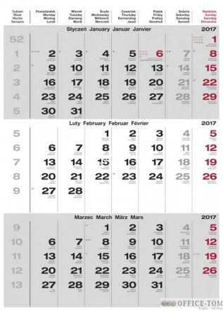 Kalendarz ścienny 2017 Trzymiesięczny  HELMA (5 wzorów) N521-17