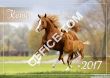 Kalendarz A4 2017 Konie N554-17 HELMA - 14