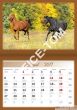 Kalendarz A4 2017 Konie N554-17 HELMA - 13