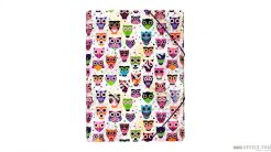 Teczka z gumką PP z nadrukiem SÓWKI BIURFOL TGN-01-01