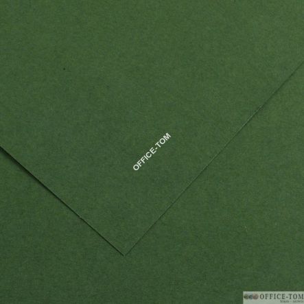 Karton COLORLINE 50X65 150G 25ark. 31-ciemnozielony 200041030 CANSON