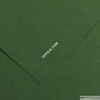 Karton COLORLINE 50X65 150G 25ark. 31-ciemnozielony 200041030 CANSON