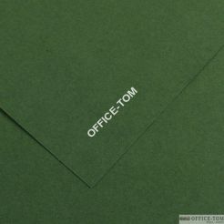 Karton COLORLINE 50X65 150G 25ark. 31-ciemnozielony 200041030 CANSON