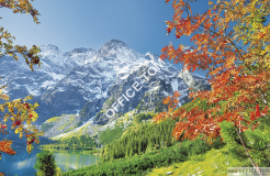 Kalendarz trójdzielny T-105T-01 TATRY Michalczyk i Prokop