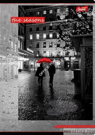 Zeszyt okładka laminowana, format A5, 80 kartek, krata, mix dziewczęcy UNIPAP