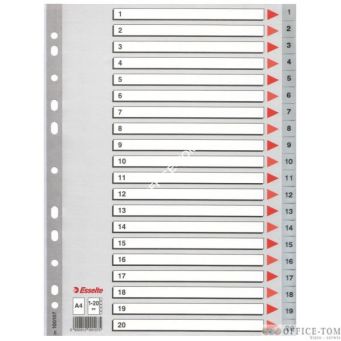 Przekładki plastikowe szare  PP numeryczne A4 ESSELTE, 1-20