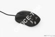 Mysz HORNET TITANUM ESPERANZA  optyczna USB czarna TM103K  1,2m - 2