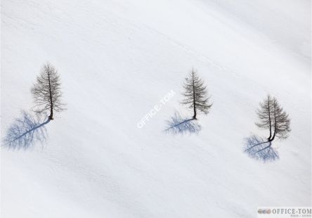 Kalendarz ścienny 2017 Biały EX N266-17 HELMA
