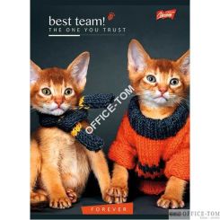 Zeszyt okładka laminowana A5 32k linia  mix ST. MAJEWSKI / DO WYCZERPANIA ZAPASÓW, PROSIMY ZAMAWIAĆ Z MIXÓW DZIEWCZĘCY I CHŁOPIĘCY / wpisz w wyszukiwarkę, żeby znaleźć odpowiedni kod