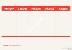 Etykiety ESSELTE grzbietowe, wąskie do segreg. samoprzylepne ESSELTE, 36X192mm, 10x6, białe