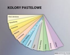 Papier xero kolorowy A4 KOSC SLONIOWA 80G karton- 5 ryz CR20