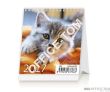 Kalendarz ścienny 2017 Mini Kittens S88-17 HELMA - 4