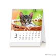 Kalendarz ścienny 2017 Mini Kittens S88-17 HELMA - 3