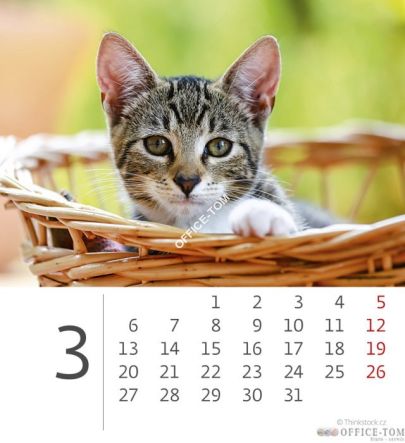 Kalendarz ścienny 2017 Mini Kittens S88-17 HELMA