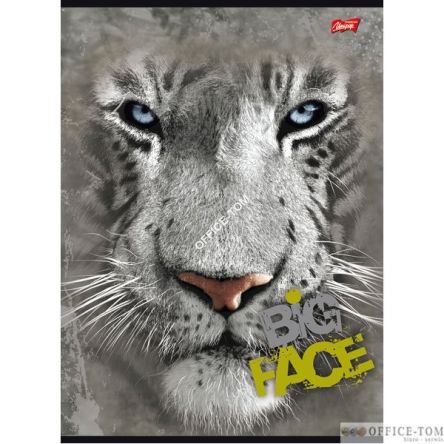 Zeszyt okładka laminowana A4, 60k., kratka, THE MOUNTAIN BIG FACE Unipap