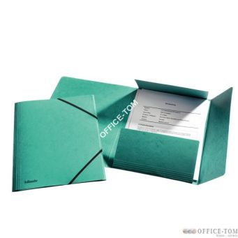 Teczka kartonowa z gumkami Esselte, zielony