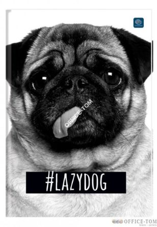 Brulion A5 96 linia mix wzorów INTERDRUK