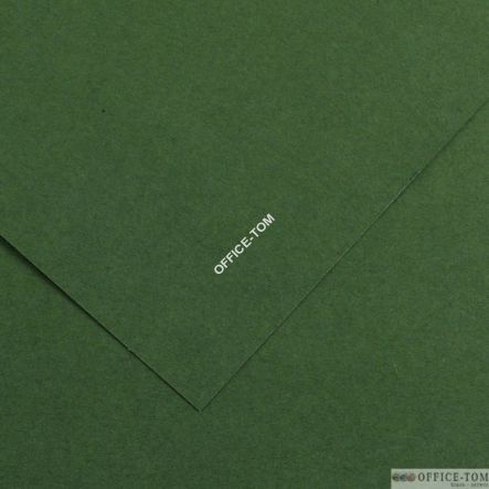 Karton IRIS 70x100 240G 25ark. 31-ciemnozielony 200040470 CANSON