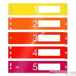 PRZEKŁADKI NUMERYCZNE SHADES OF SUNSET  A4XL 6P PP