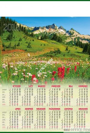 Kalendarz B-1 plakatowy (10)TELEG. P04 POLANA Telegraph