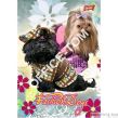 Zeszyt okładka laminowana A5, 16k., krata Fashion Dogs ST.MAJEWSKI - 5