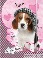 Teczka z gumką A4, MY LITTLE FRIEND Unipap