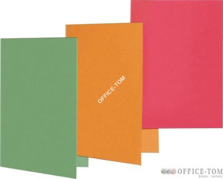 Okładka kartonowa A4 szara 100091653 ELBA